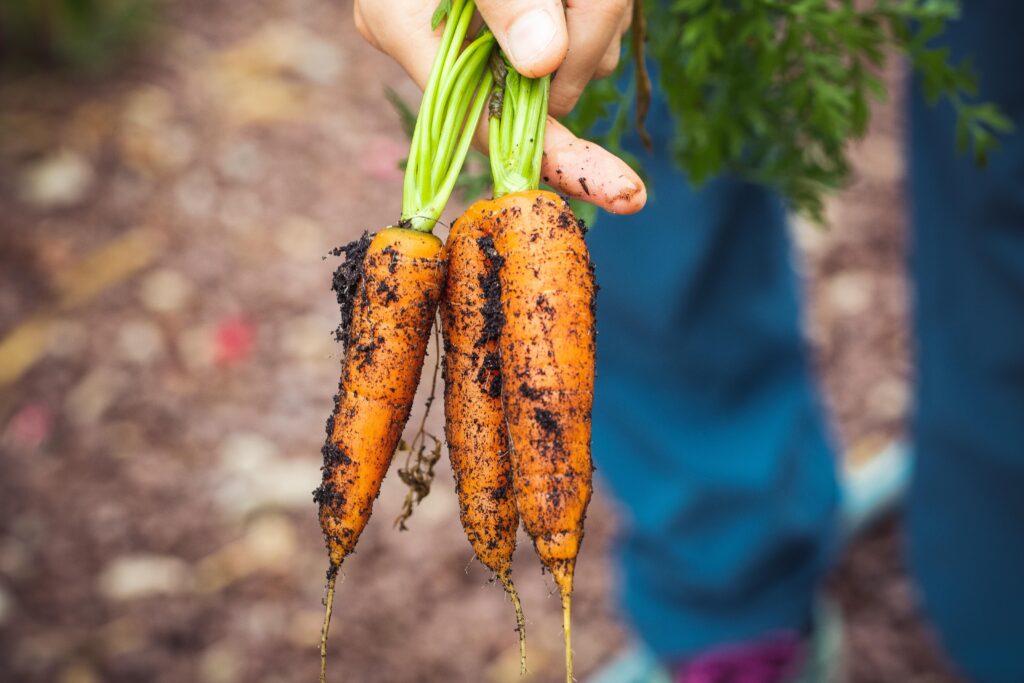 NaturGrow