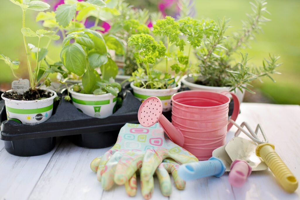 Gardening Kits for Beginners